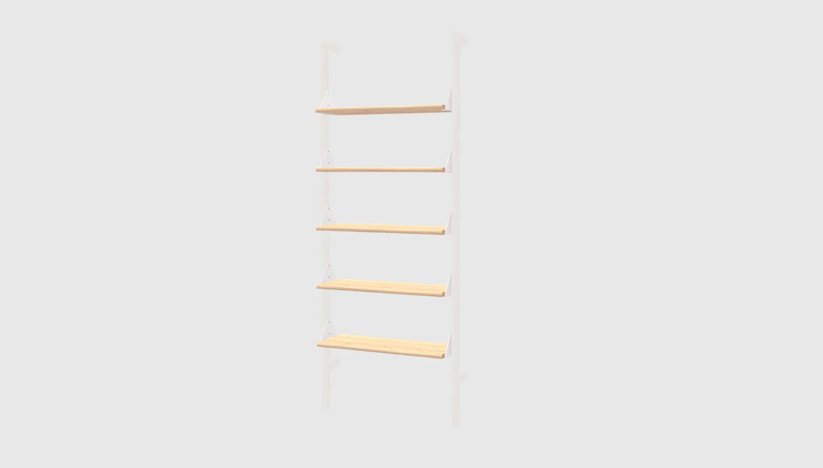 Branch Shelf 5-Pack