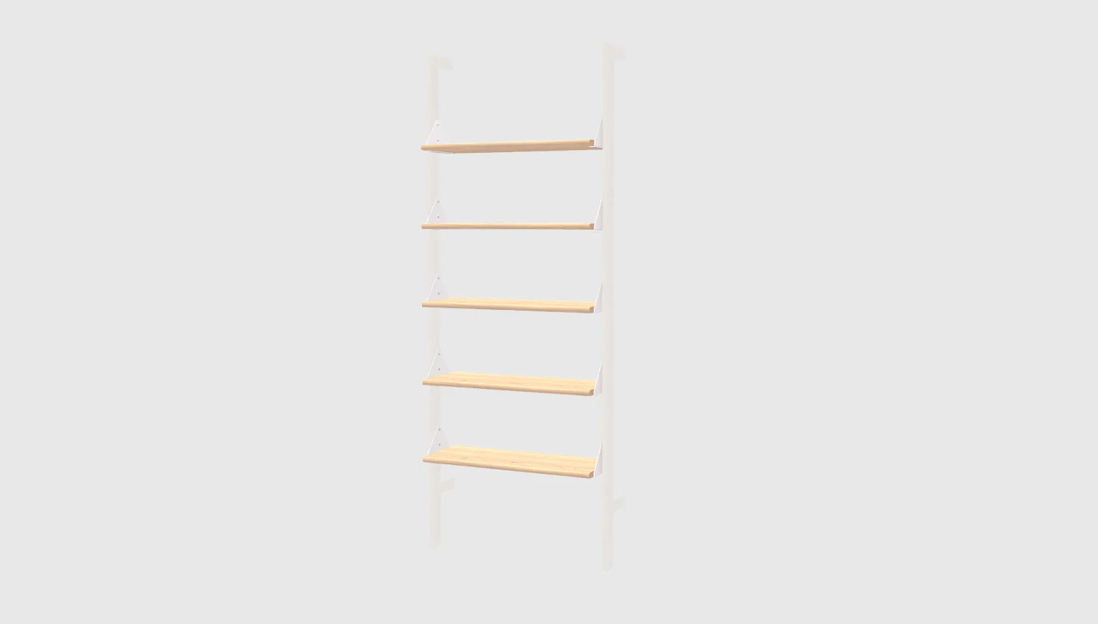 Branch Shelf 5-Pack