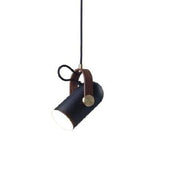 Carronade Pendant Lamp Spot Pendant Lights Le Klint 