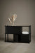 Elevate 2-Door Cabinet storage Woud 