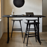 Bok Adjustable Desk Desk Ethnicraft 
