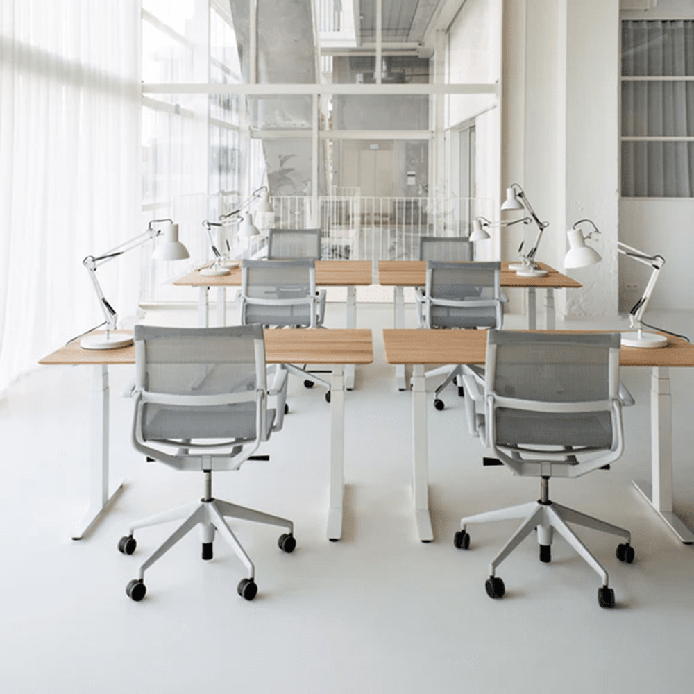 Bok Adjustable Desk Desk Ethnicraft 