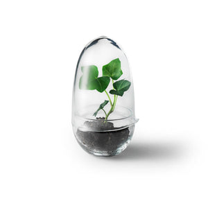 Grow-Small-plant-whitebg-Design-house-stockholm