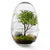 Grow Greenhouse Glassware Design House Stockholm Large 