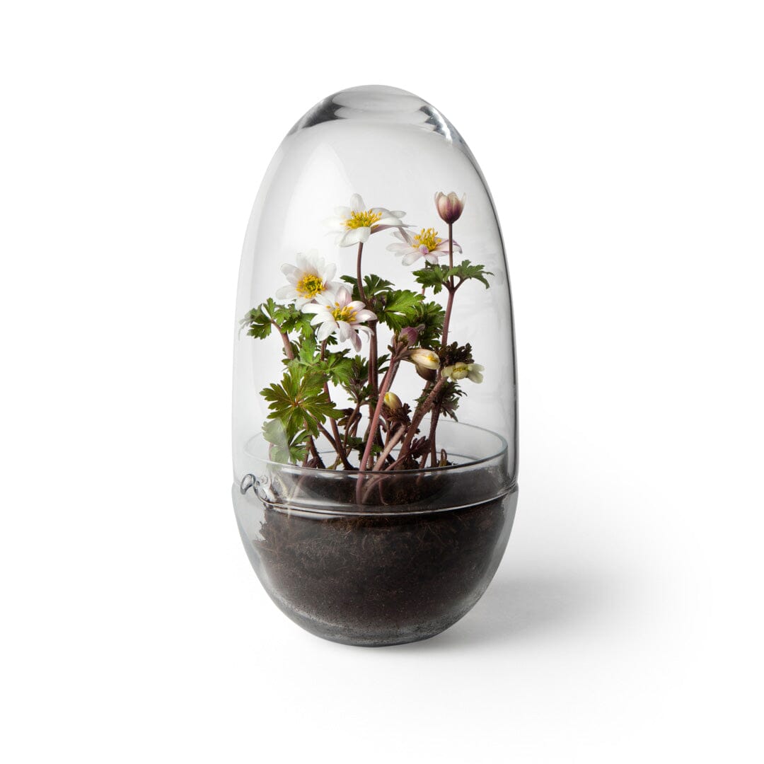 Grow Greenhouse Glassware Design House Stockholm Medium 