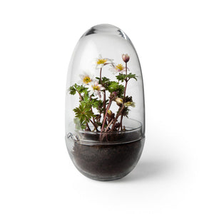 Grow Greenhouse Glassware Design House Stockholm Medium 