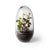 Grow Greenhouse Glassware Design House Stockholm Medium 