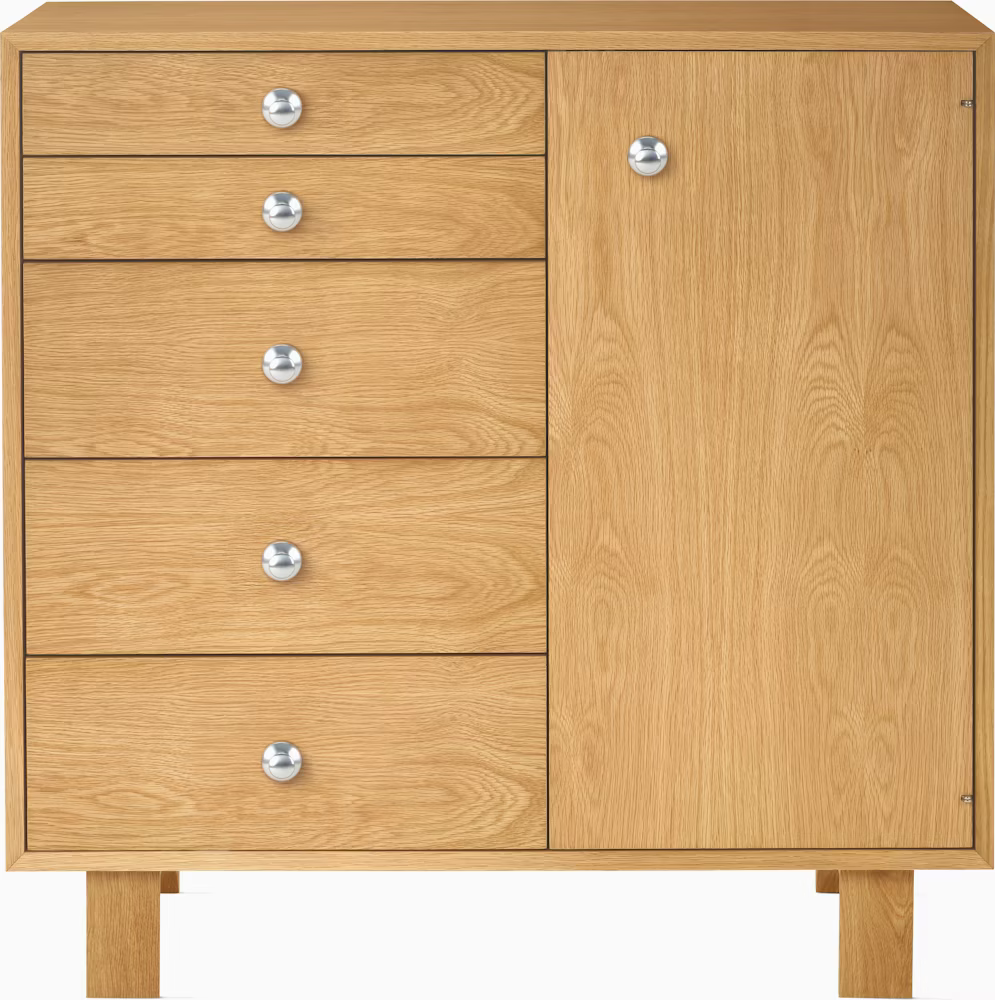 Nelson Basic Cabinet Series 5-Drawer Cabinet with Door