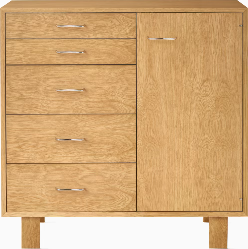 Nelson Basic Cabinet Series 5-Drawer Cabinet with Door