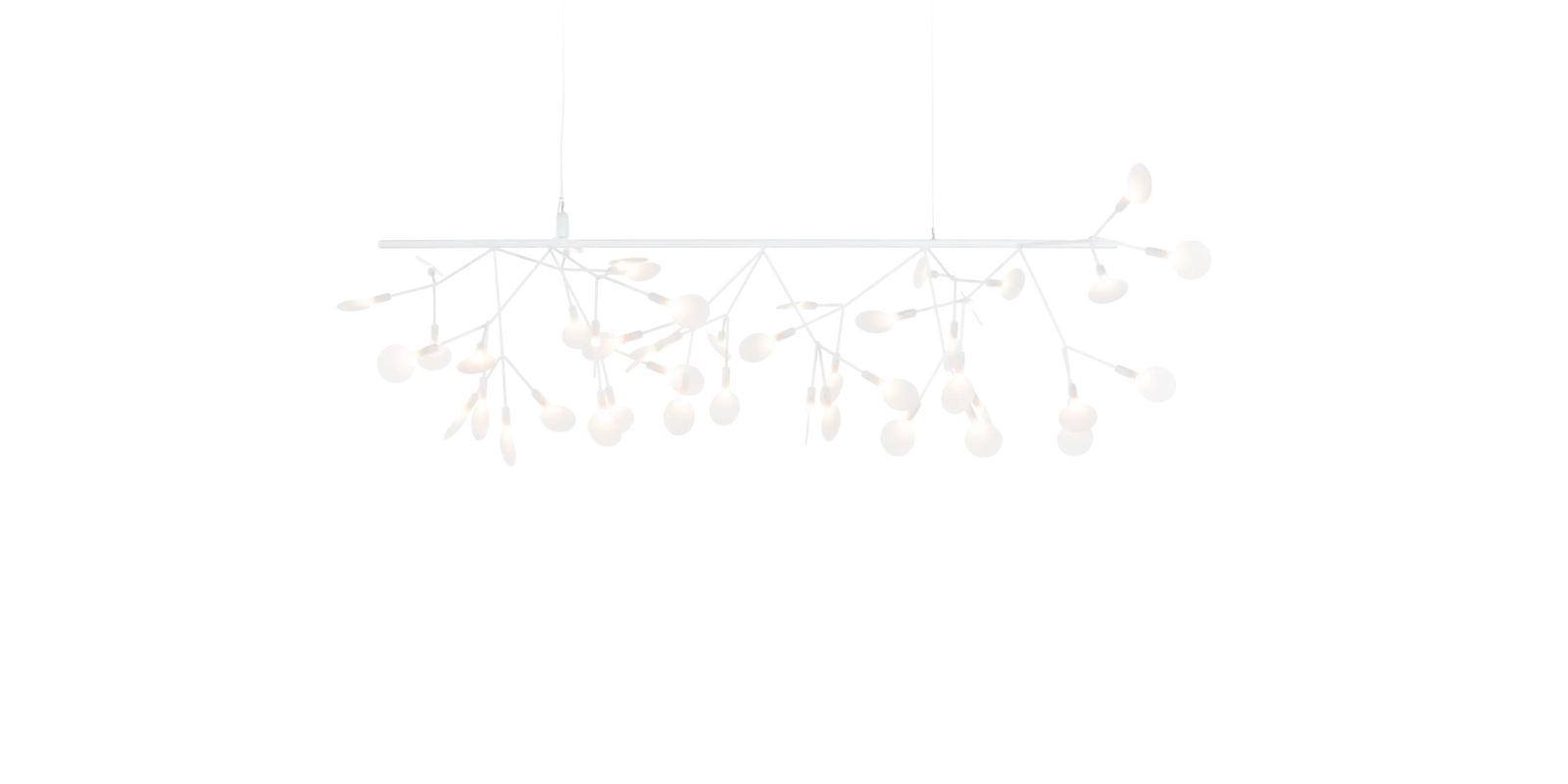 HERACLEUM III ENDLESS BEND