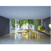 Masters Chair (2 Chairs) Side/Dining Kartell 