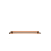 Shell Fish Wall Shelf Shelf Kartell Transparent Nude 