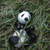 Pandabear Figurine