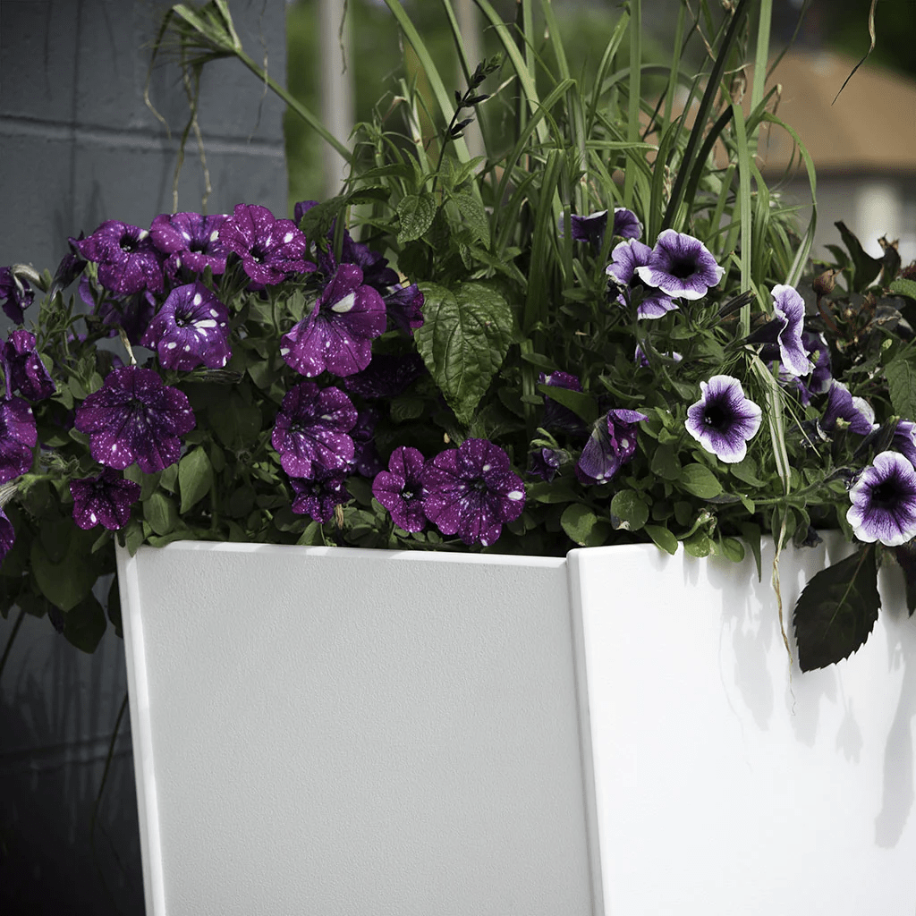 Taper Planter (15 Gallon) planter Loll Designs 