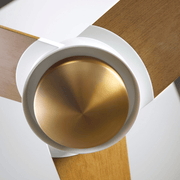 Ambit Flush DC | 56″ Ceiling Fans Modern Fan Co 