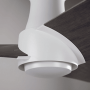 Ambit Flush DC | 56″ Ceiling Fans Modern Fan Co 