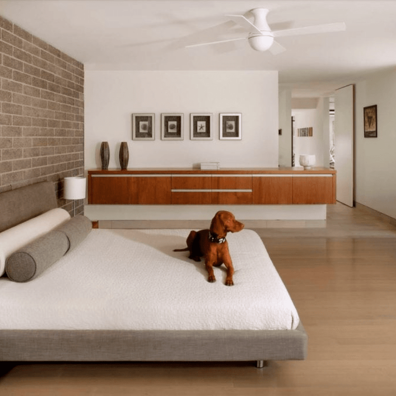 Ball Flush Ceiling Fans Modern Fan Co 
