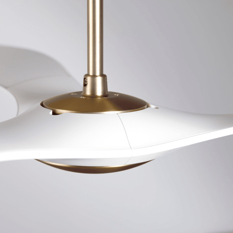 IC/Brisa DC | 56″ Ceiling Fans Modern Fan Co 