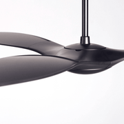 IC/Brisa DC | 56″ Ceiling Fans Modern Fan Co 