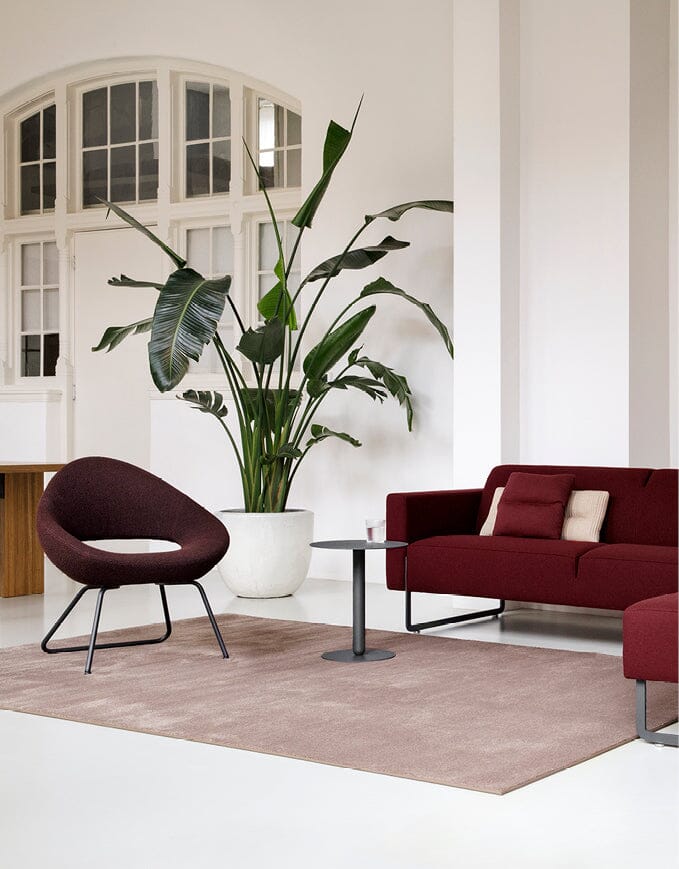 Shark Front 2-Legged &amp; Backside Sled Lounge Chair Chair Artifort 