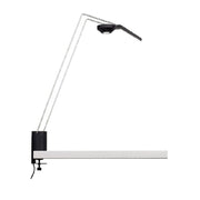 Sparrow Desktop Light Table Lamps Knoll 