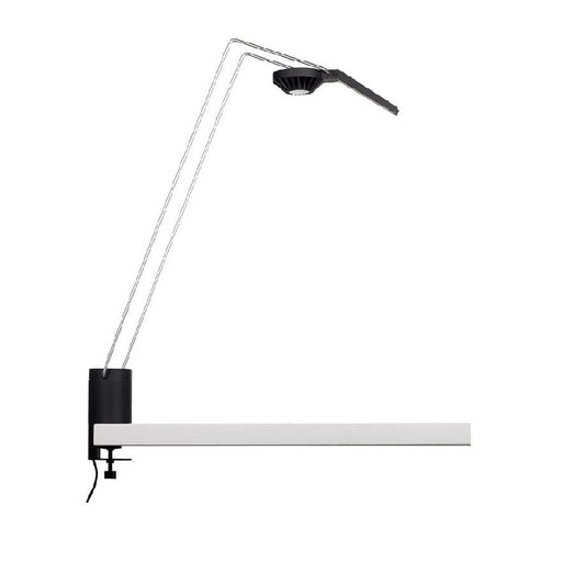 Sparrow Desktop Light Table Lamps Knoll 