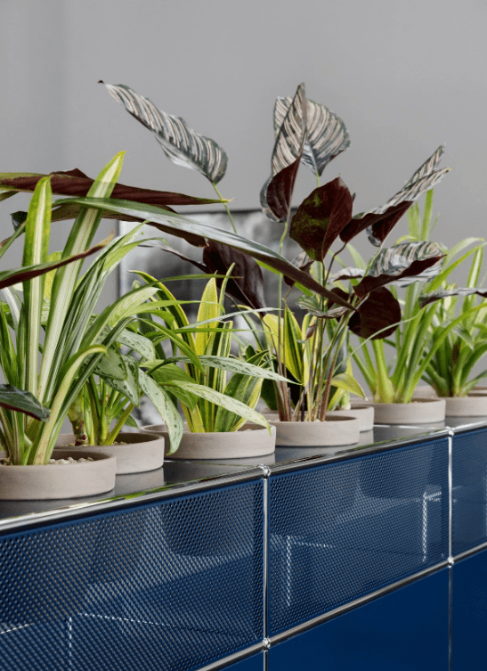 USM Haller Planter Panels & Planters - CA Modern Home