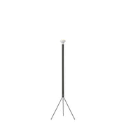 Luminator Floor Lamp Floor Lamps Flos Anthracite 