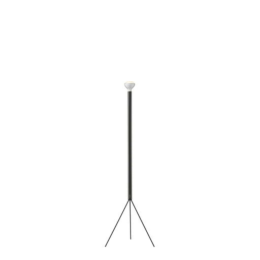 Luminator Floor Lamp Floor Lamps Flos Anthracite 