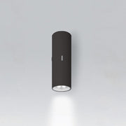 Calumet Outdoor Wall Light Outdoor Lighting Artemide 13 Single Wall 9° Anthracite Grey 16W 3000K >80 CRI