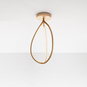 Arrival Wall/Ceiling Light