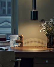 A110 Pendant Light suspension lamps Artek 