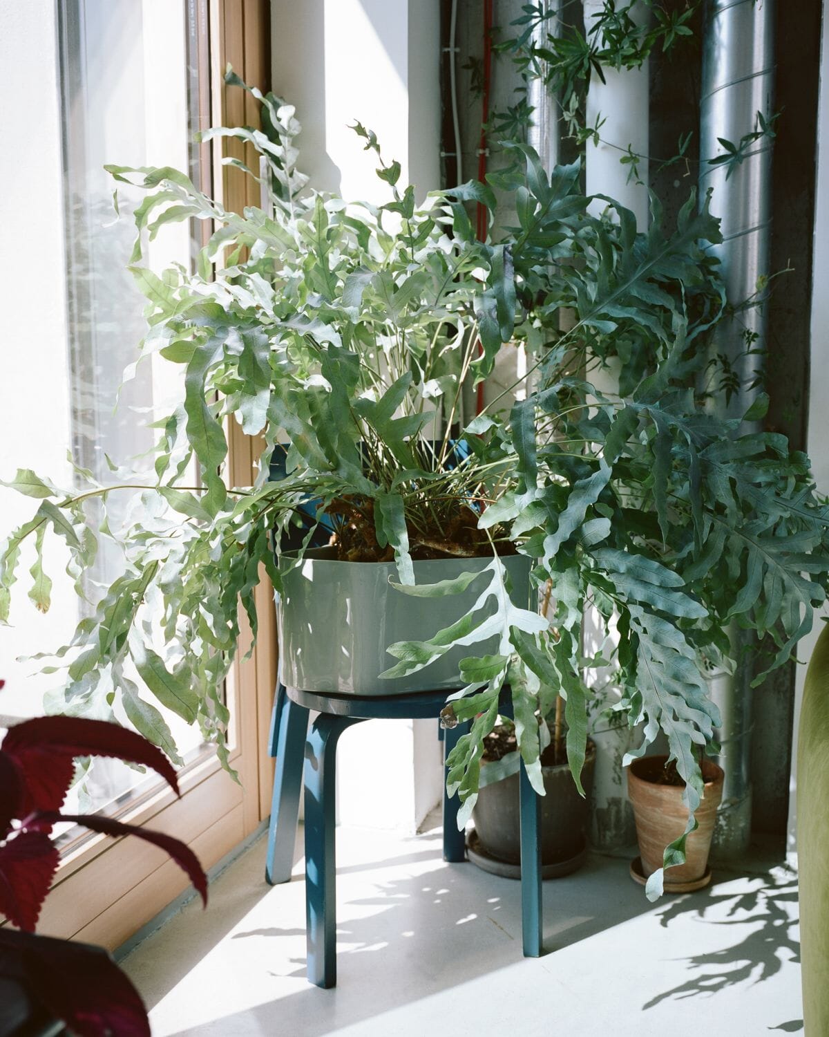 artek riihitie plant pot Riihitie Plant Pot A