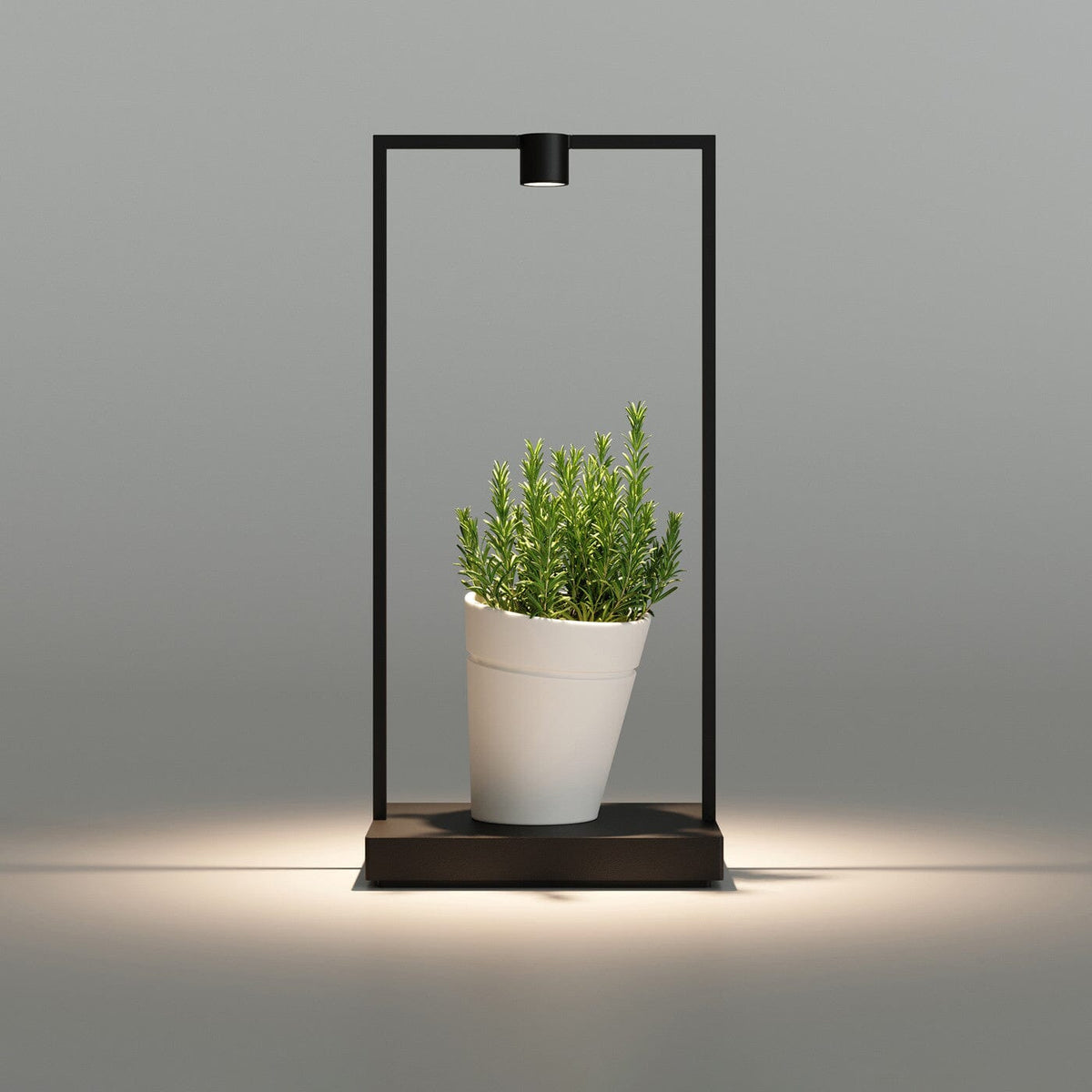 Curiosity 45 Table Lamp Table Lamps Artemide 