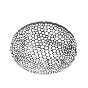 Calipso LED Wall/Ceiling wall/ceiling fan Artemide 
