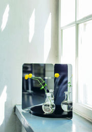 124 Mirror Mirrors Artek 