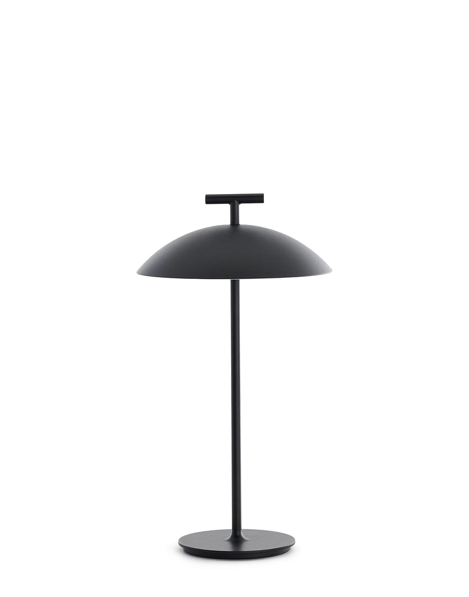 Geen-A Portable Table Lamp