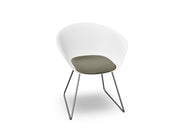 Duna 02 Sled Base Chair With Seat Cushion Chairs Arper 
