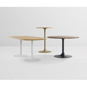 Clarion Counter Table Tables Artifort 