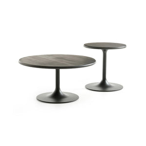 Clarion Low Coffee Table - Small Tables Artifort 