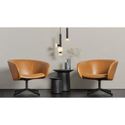 Close Encounter Swivel Lounge Chair lounge chair BluDot 