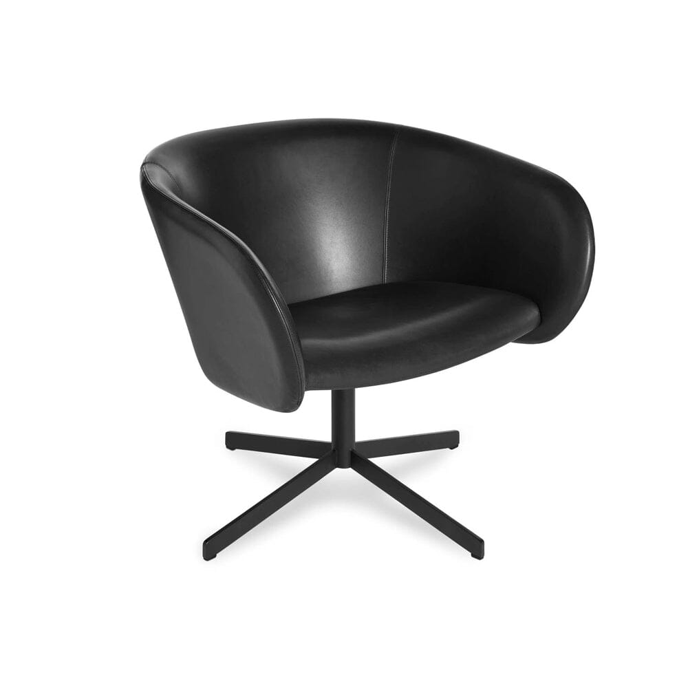 Close Encounter Swivel Lounge Chair lounge chair BluDot 