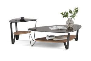 Dino 1363 Large Coffee Table Coffee Tables BDI 