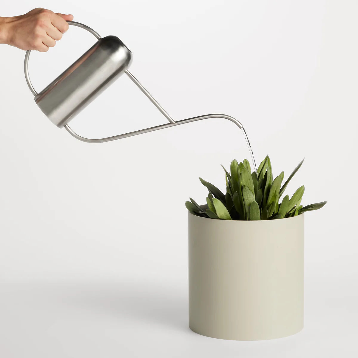 Li'l Dripdrop Watering Can