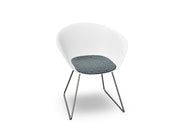 Duna 02 Sled Base Chair With Seat Cushion Chairs Arper 