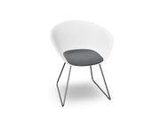 Duna 02 Sled Base Chair With Seat Cushion Chairs Arper 