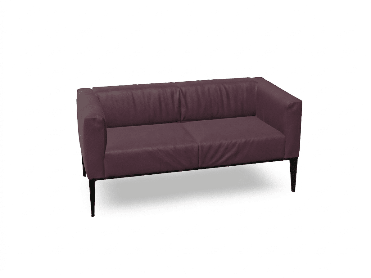 Sean Two Seat Sofa Sofa Arper 