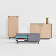 Extens Dressoir High Sideboard Artifort 
