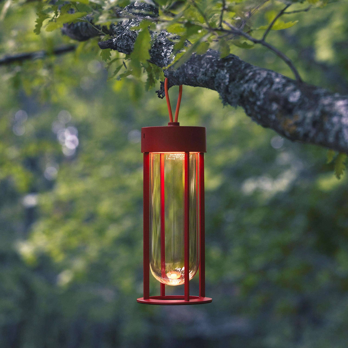 In Vitro Unplugged Portable Lamp Outdoors Flos 