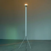 Luminator Floor Lamp Floor Lamps Flos 